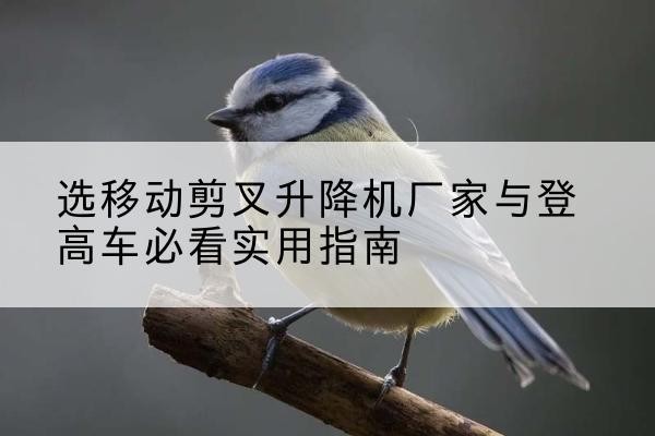 滨湖电动升降机厂家-选移动剪叉升降机厂家与登高车必看实用指南