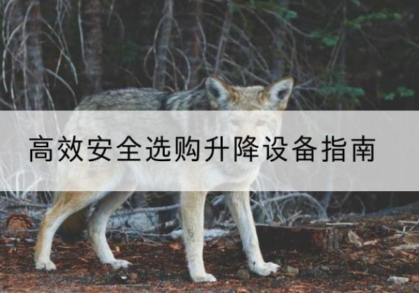 滨湖升降货梯厂家推荐-*安全选购升降设备指南
